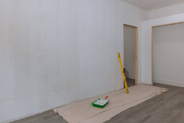 Best Mold Odor Removal Services  in Shallotte, NC