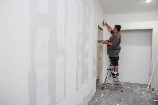 Environmental Consulting for Mold Prevention in Shallotte, NC